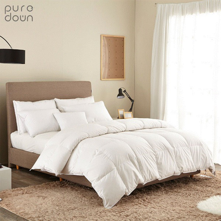 New Season Textiles Queen Down & Feather Blend Comforter Wayfair